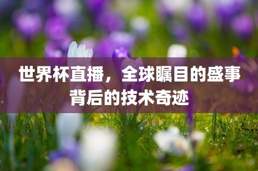 世界杯直播,全球瞩目的盛事背后的技术奇迹石家庄宴和餐饮管理有限公司